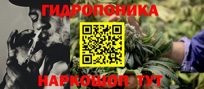 прущие грибы Новокубанск