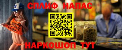 тгк Новозыбков