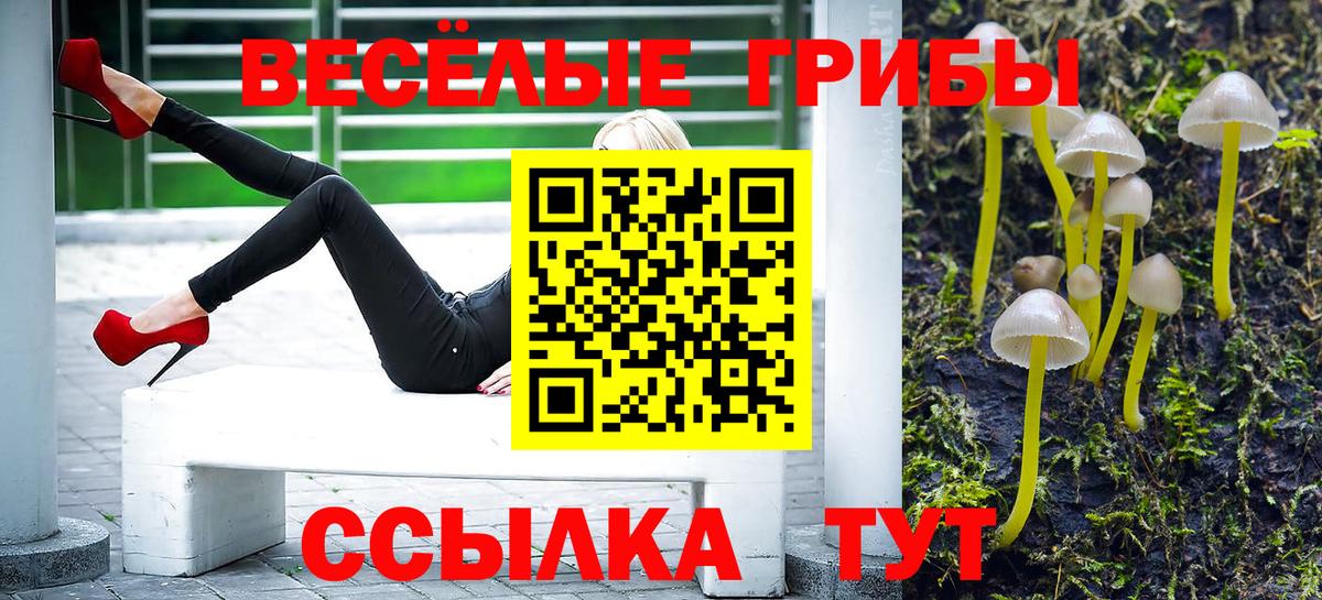 Удомля  Галлюциногенные грибы Cubensis  Вход с VPN 